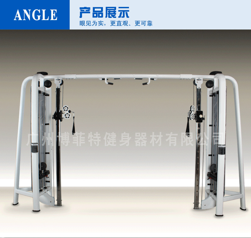 大飛鳥(niǎo)訓(xùn)練器