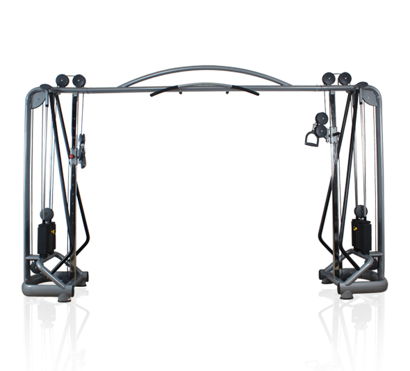 大飛鳥，龍門架健身